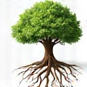 Albero stilizzato con radici e foglie, che rappresenta la sostenibilità